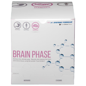 BRAIN PHASE