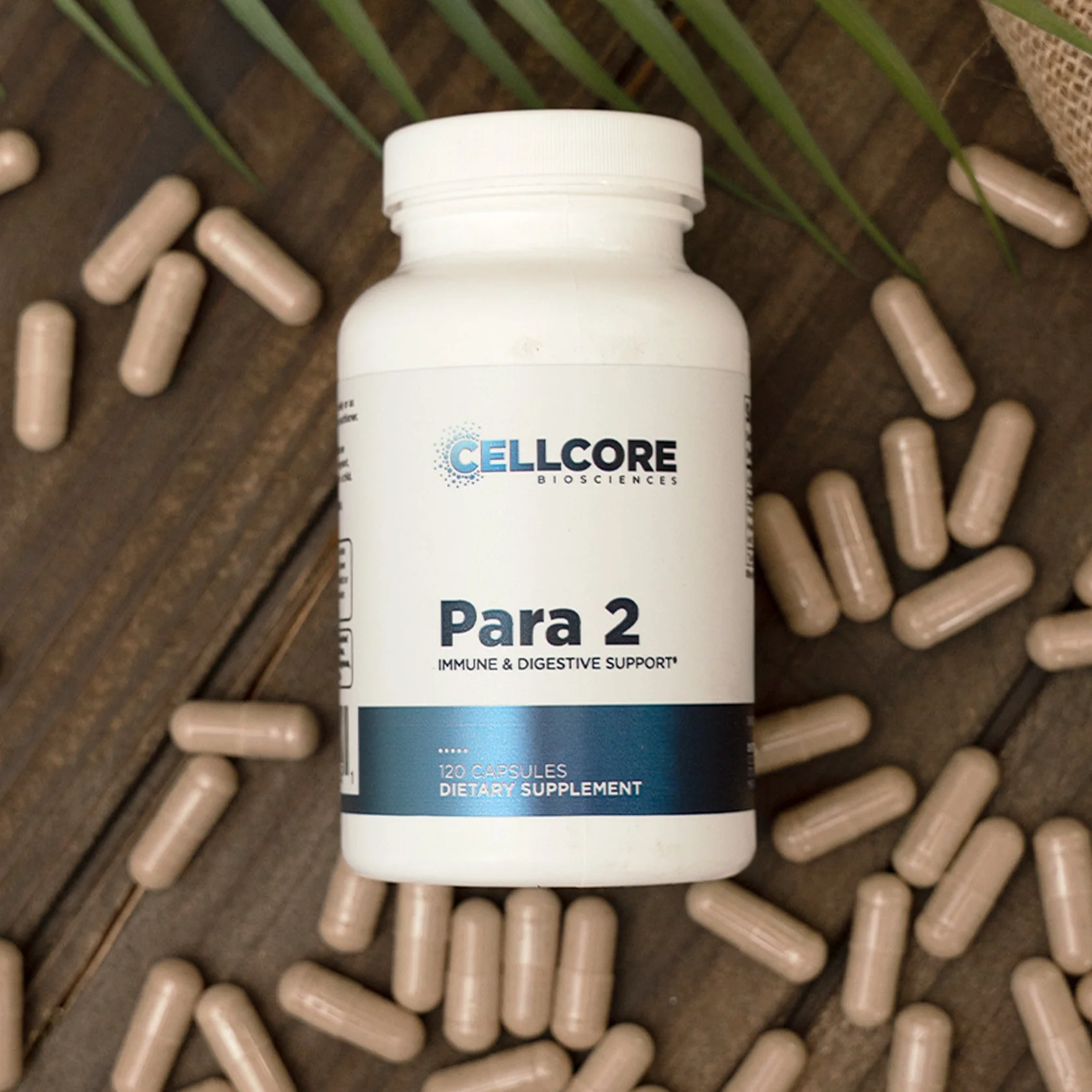 Para 2 - Image 4
