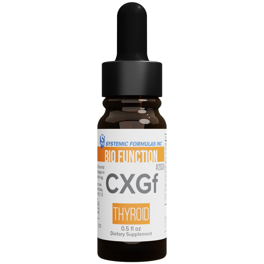 Thyroid (CXGf)