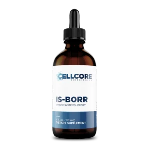 IS-BORR