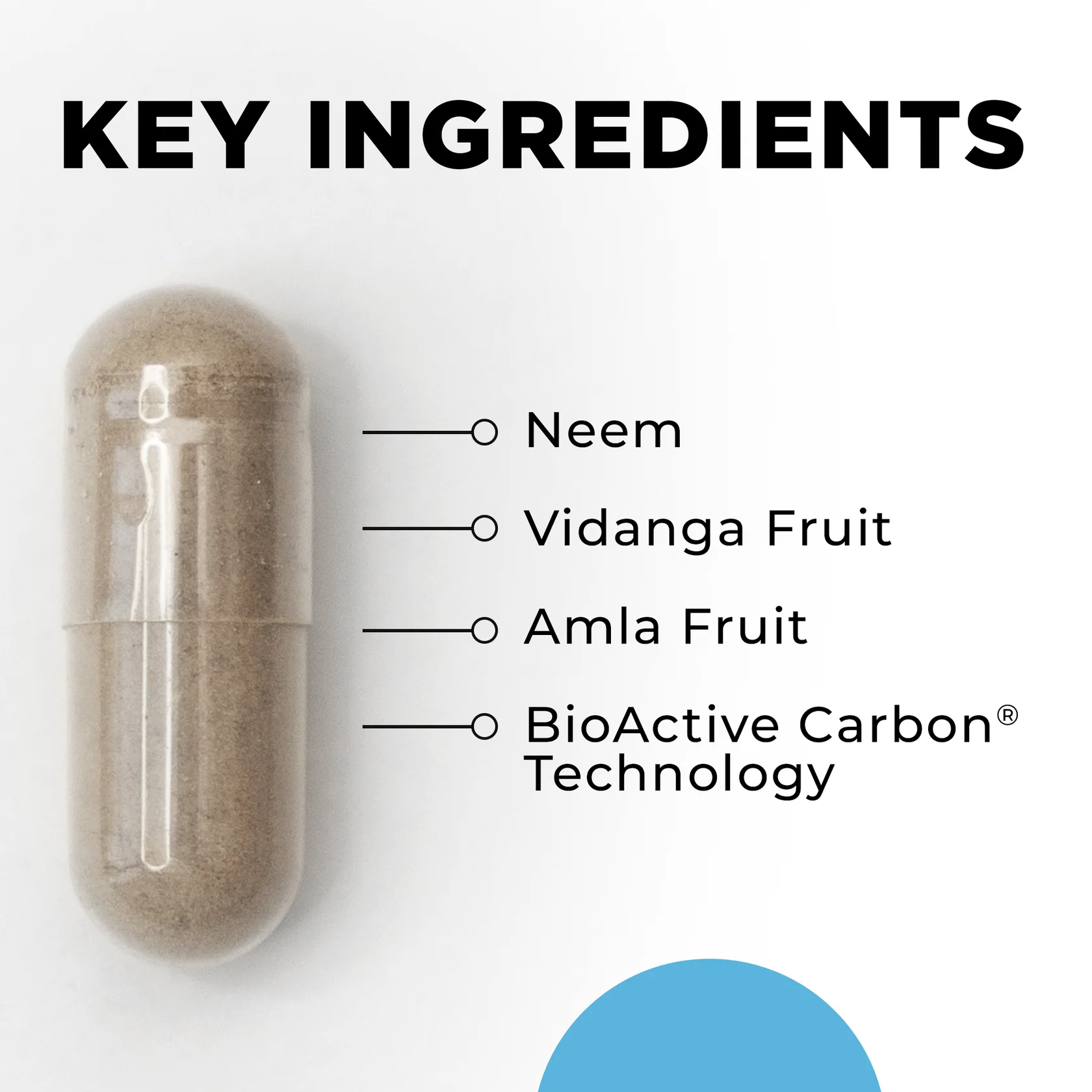 Para 2 - Image 6