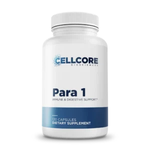 Para 1