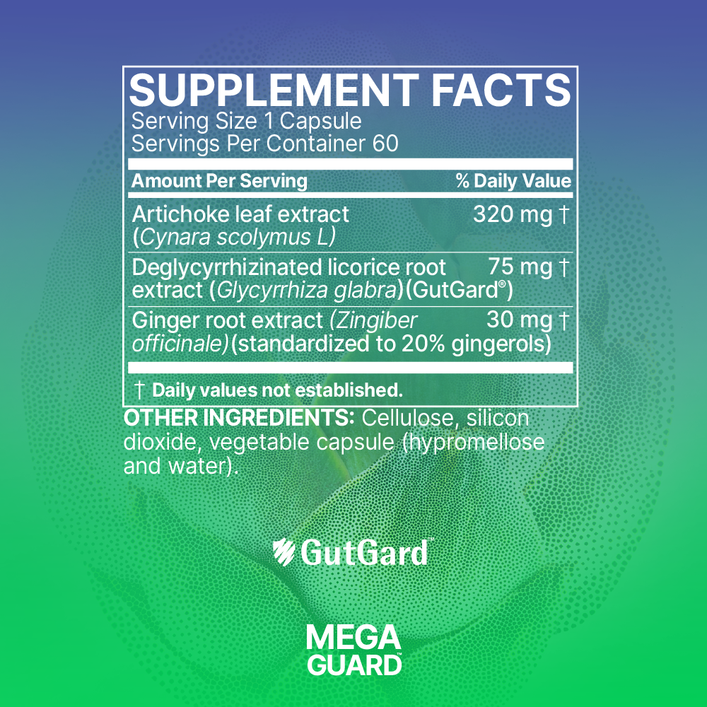 MegaGuard - Image 2