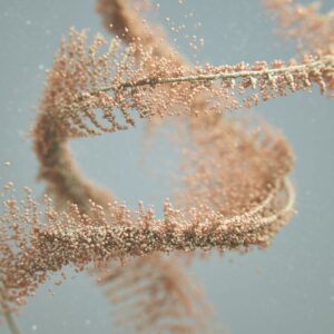 Cellular Detox