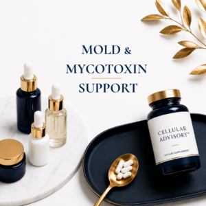 Mold Support